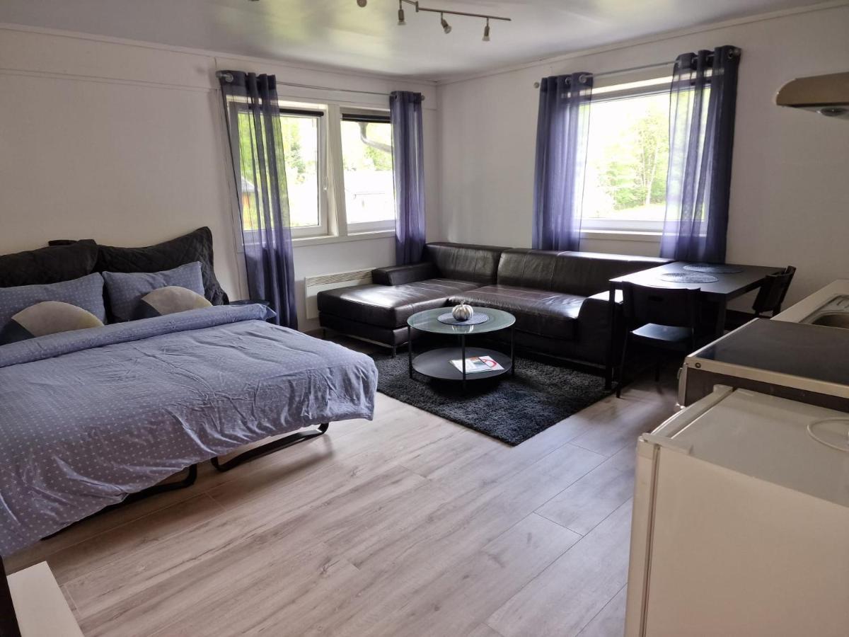 Dalen Studio 3 Exteriör bild
